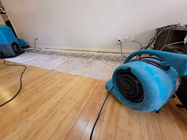 Professional Sewage Cleanup technician working in Hampton, MD
